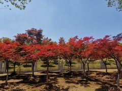 -重元寺香积厨素斋馆