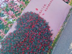 -北京凤凰岭