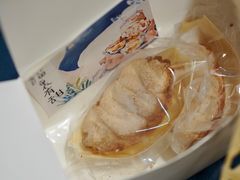 -猫里有甜