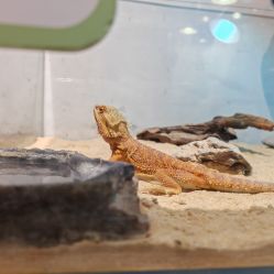 -Zoolung Zoolung动物主题公园(海信广场店)