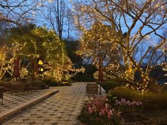 -杭州西子湖四季酒店-WL BISTRO西湖餐厅(灵隐路店)