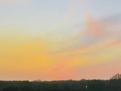 -LELECHA乐乐茶(新街口大洋店)