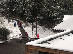 -武陵山森林公园