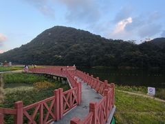 -广州市石门国家森林公园