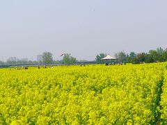 -汉长安城未央宫国家考古遗址公园