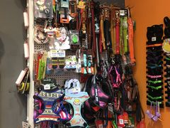 -我爱吾宠宠物美容院(朝阳路店)