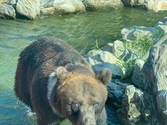 -北京野生动物园