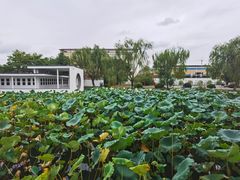 -费孝通江村纪念馆