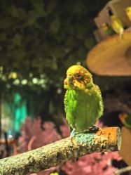 -酷嗒动物文化乐园(cutezoo西溪乐天城店)