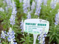 -国家植物园