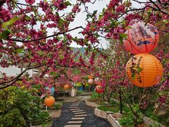 -桃源山庄·摘樱桃·柴火鸡·烧烤团建(龙泉山店)