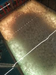 -嗨翻Hi-Fun竞技主题乐园·蹦床团建生日聚会(五棵松华熙店)
