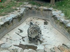 -青藏高原野生动物园