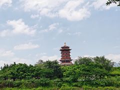 -厦门园林博览苑