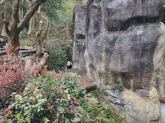 -川匠·睡眠采耳·SPA(九眼桥店)