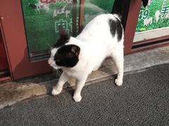 -梅记大块头爆鱼店(乍浦路店)