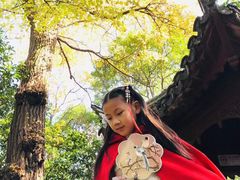 -秋霞圃