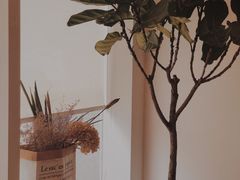 -半勺舒舒生日蛋糕店