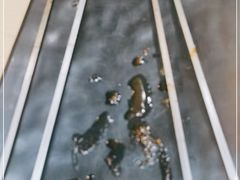 -西部马华清真食府·丝路菜(大钟寺店)