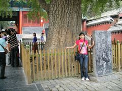 -少林寺景区