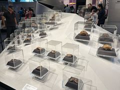 -北京周口店北京人遗址博物馆