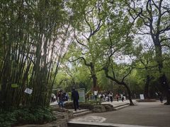 -晓港公园