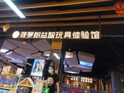 -菠萝树益智玩具体验馆(玖伍文化城店)