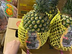 -油麻地果栏