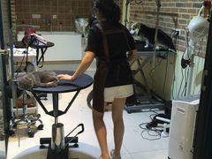 -Oh My Dog宠物沙龙(伊珊娜皮毛护理店)