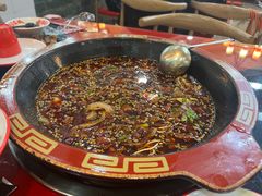 -烧哥美蛙肥肠鱼火锅·十五年社区店