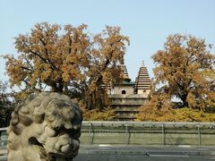 -北京石刻艺术博物馆(五塔寺)