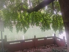 -成都市活水公园