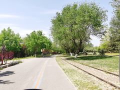 -永定河休闲森林公园