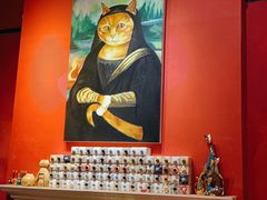 -猫色咖啡·猫咖