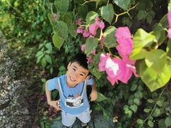 -广西壮族自治区药用植物园