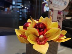 -哈根达斯(皇庭店)