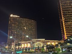 -拉斯维加斯永利酒店