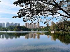 -重庆彩云湖湿地公园