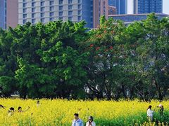-光明小镇欢乐田园