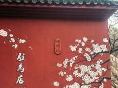 -嵖岈山风景区