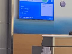 -约翰·菲茨杰拉德·肯尼迪国际机场