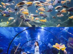 -南昌海洋公园