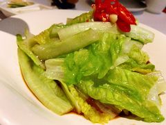 -北京老铺烤鸭(老城根店)