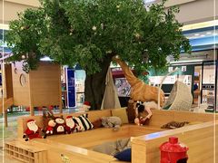 -红星美凯龙北京至尊MALL(东四环中路店)