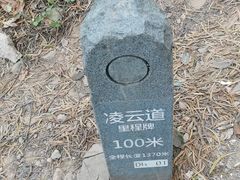 -梧桐山风景名胜区