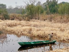 -西溪国家湿地公园