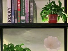 -三猫黑鱼花(南大店)