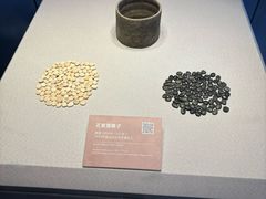 -邹城博物馆