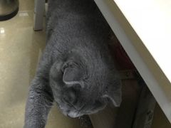 -哈根达斯(天河城店)
