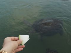 -硇洲岛旅游区